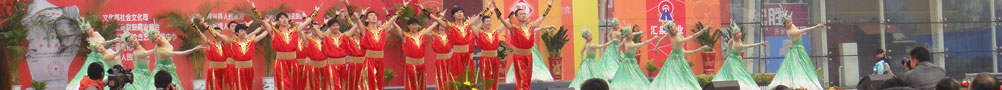 2011中國（博興）國際廚具節(jié)