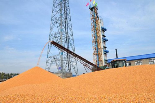 《南通市糧食機械化烘干能力建設三年行動方案》發(fā)布