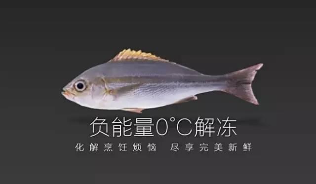不用水不用電10分鐘解凍任何食材，簡直廚房黑科技