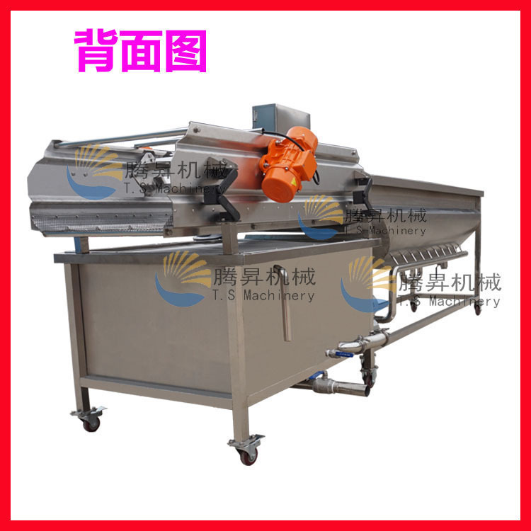 洗菜機 商用渦流洗菜機 震動瀝水生產線 蔬菜清洗機 廠家直銷