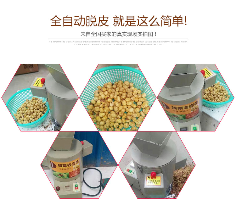 創業設備全自動電動商用家用板栗脫皮機板栗去皮機炒貨栗子脫殼機