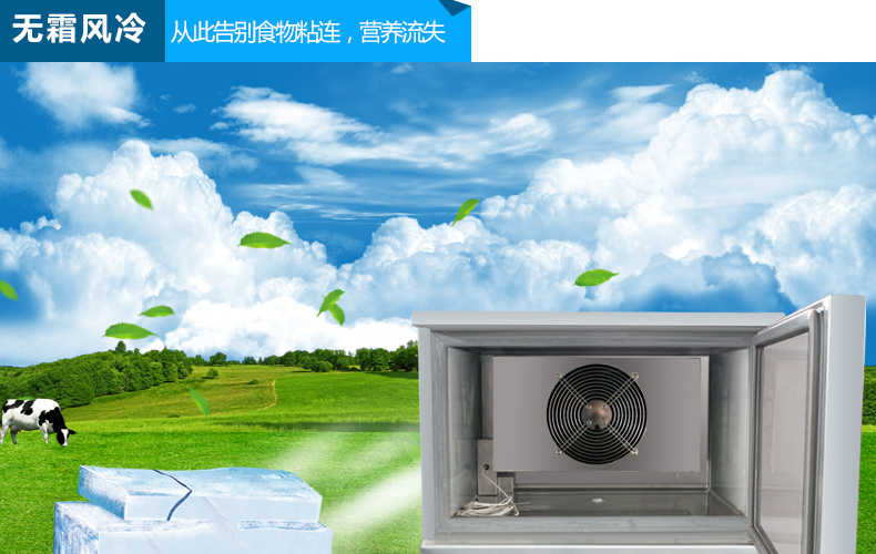 商用冷柜廚房速凍急凍柜 蛋糕速凍柜 面團(tuán)冷凍柜 -40°急凍柜